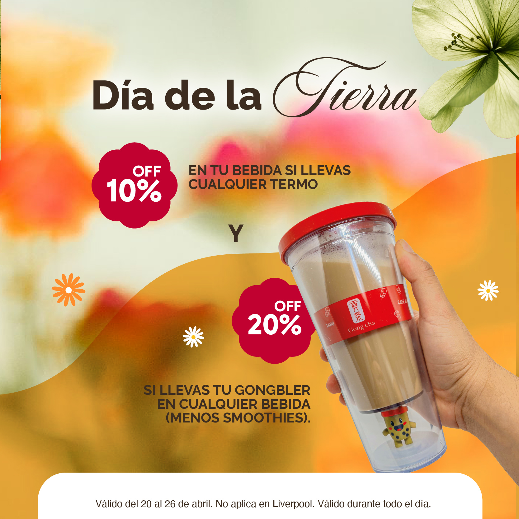 promosabril web-10